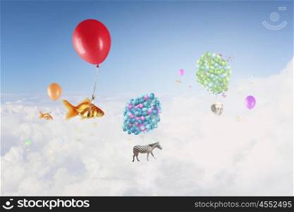 Goldfish fly on balloon. Flying in sky goldfish tied up to big balloon