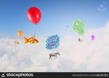 Goldfish fly on balloon. Flying in sky goldfish tied up to big balloon