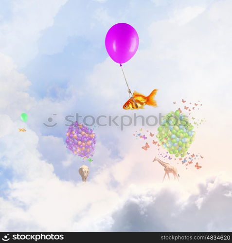 Goldfish fly on balloon. Flying in sky goldfish tied up to big balloon