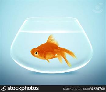 goldfish in small bowl and looking for something better.