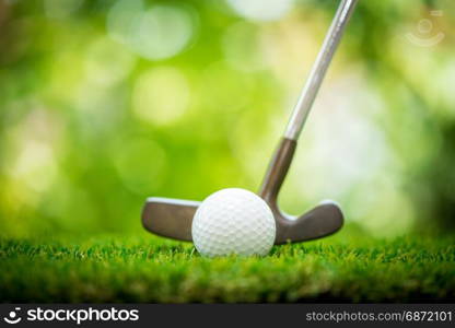 golf ball and putter on green