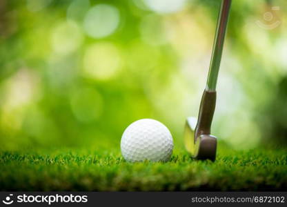 golf ball and putter on green