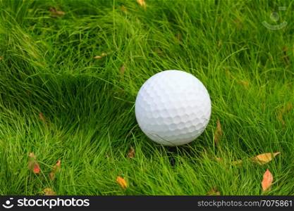 Golf ball close-up. Golf ball in the green grass, close-up