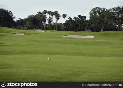Golf ball in a golf course