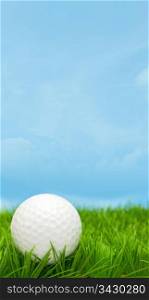 Golf Ball in Grass and Blue Sky
