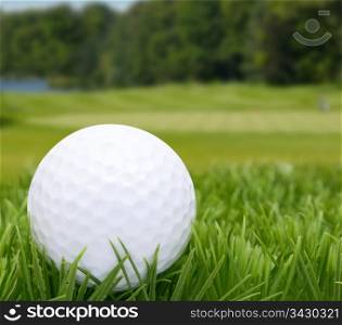 Golf Ball in Grass - Golf Course in Background