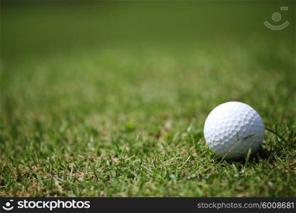 Golf ball in grass. Macro of a golf ball in natural grass of golf course