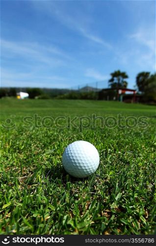 golf-ball on course