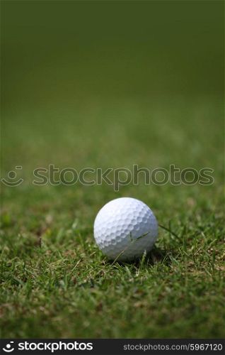 Golf ball on course. Golf ball on course close-up view