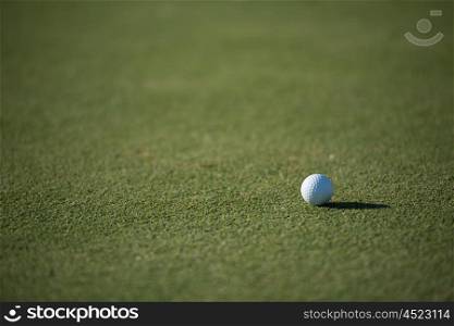 golf ball on fresh green grass of course