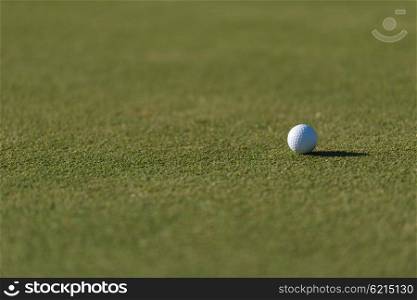 golf ball on fresh green grass of course