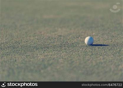 golf ball on fresh green grass of course. golf ball on grass