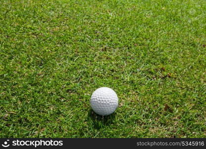 Golf ball on green grass. Close-up view of golf ball on the green grass of golf course with copyspace