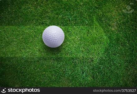 Golf ball on green grass .. Golf Backgound