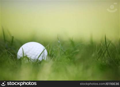 Golf ball on green grass. Golf ball on green grass macro close-up