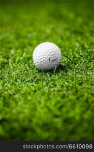 Golf ball on green grass of golf course , close up. Golf ball on course