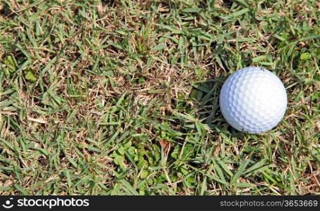 golf ball on green light rough