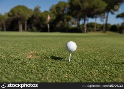golf ball on tee at beautiful course with fresh green grass