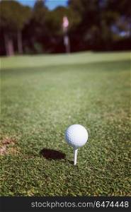 golf ball on tee at beautiful course with fresh green grass. golf ball on tee