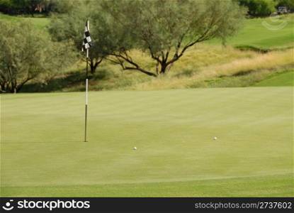 Golf balls on the green, Scottsdale, Arizona