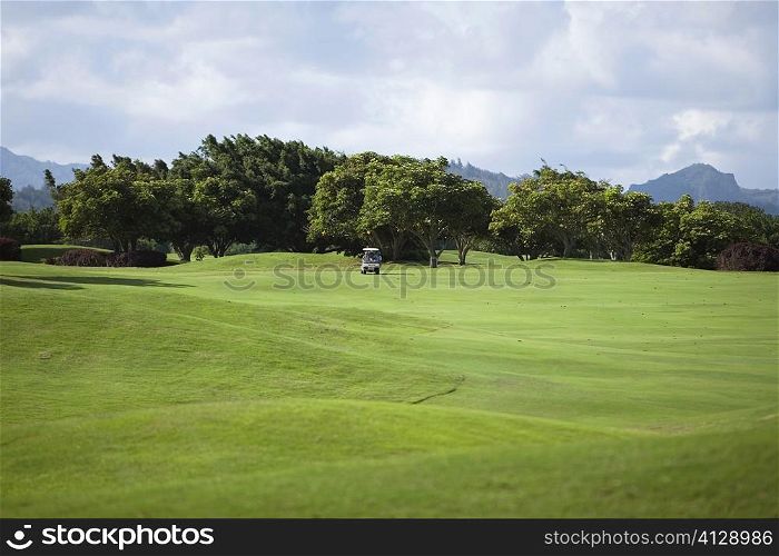 Golf cart in a golf course, Kauai, Hawaii Islands, USA