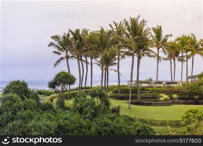Golf Course at Sunset on scenery background with green field, palms, sea water