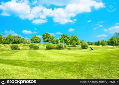Golf course. Green field with fresh grass, trees and cloudy blue sky