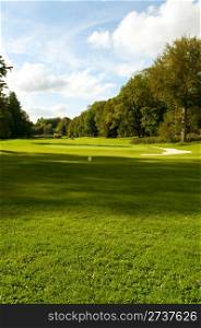 Golf Course In Forest