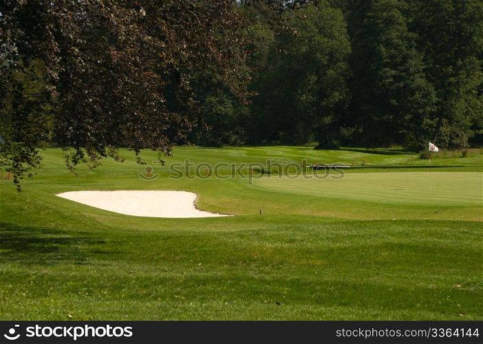 Golf Course in Forest - Golf Green With Flag and Bunker - Sand Trap