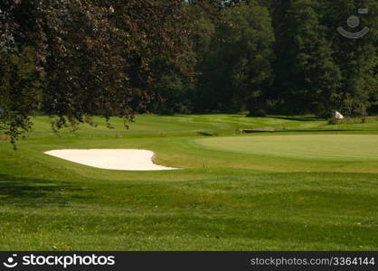 Golf Course in Forest - Golf Green With Flag and Bunker - Sand Trap