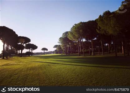 golf course landscape at beautiful fresh morning sunrise. golf course