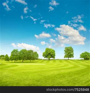 Golf course. Spring field with fresh green grass, trees and blue sky