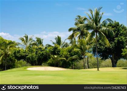Golf course surrounded by palm trees in Puerto Vallarta, Mexico.
