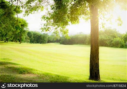 Golf course with green turf landscape. Green grass field with forest and mountain as background. Golf course at hotel or resort. Landscape of golf course and trees. Green sports field. Green field.