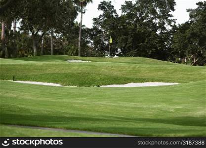 Golf flag in a golf course