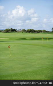 Golf flag in a golf course