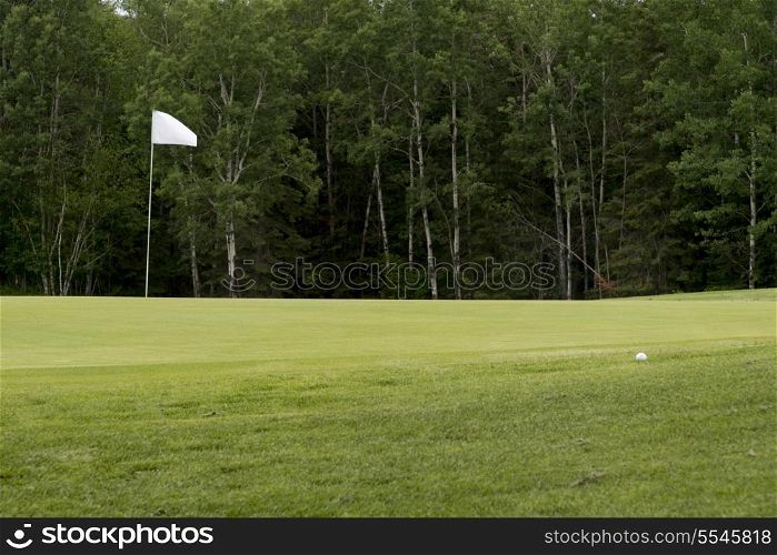 Golf flag in a golf course, Hecla Grindstone Provincial Park, Manitoba, Canada