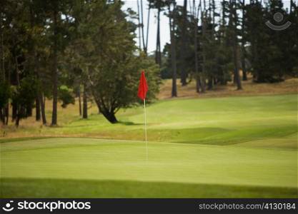 Golf flag on a golf course