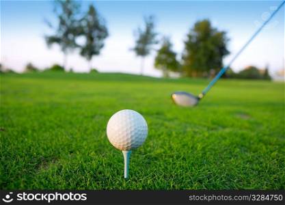 Golf tee ball club driver in green grass course horizon trees