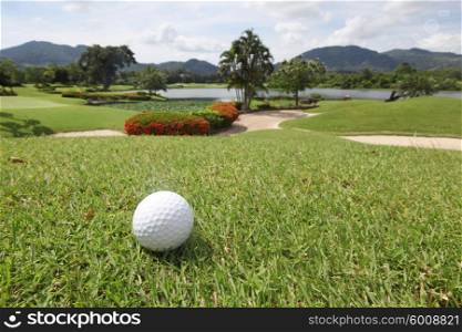 Golfball on grass . Golfball on grass of tropical golf course at sunny day