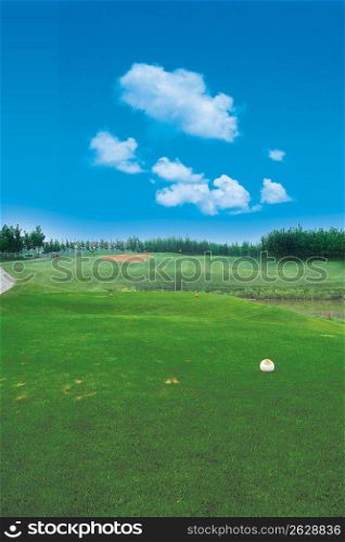 GolfLinks II