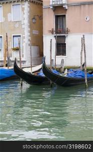 Gondolas docked in front of buildings, Venice, Italy
