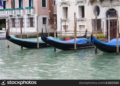 Gondolas docked in front of buildings, Venice, Italy