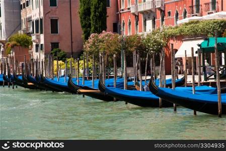Gondolas moored by side of canal in Venice
