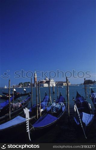 Gondolas moored in a canal, Grand Canal, Venice, Veneto, Italy