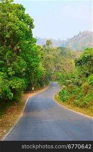 good asphalt road in jungle