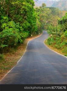 good asphalt road in jungle