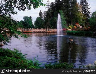Goose Perching On A Rock In A Pond With A Fountain In The Woods