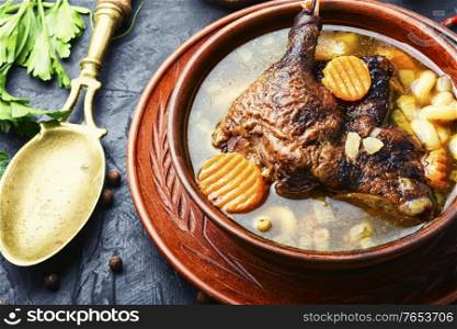 Goose soup with vegetables and pasta. A bowl of duck soup.. Appetizing goose soup