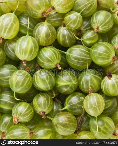 Gooseberries background